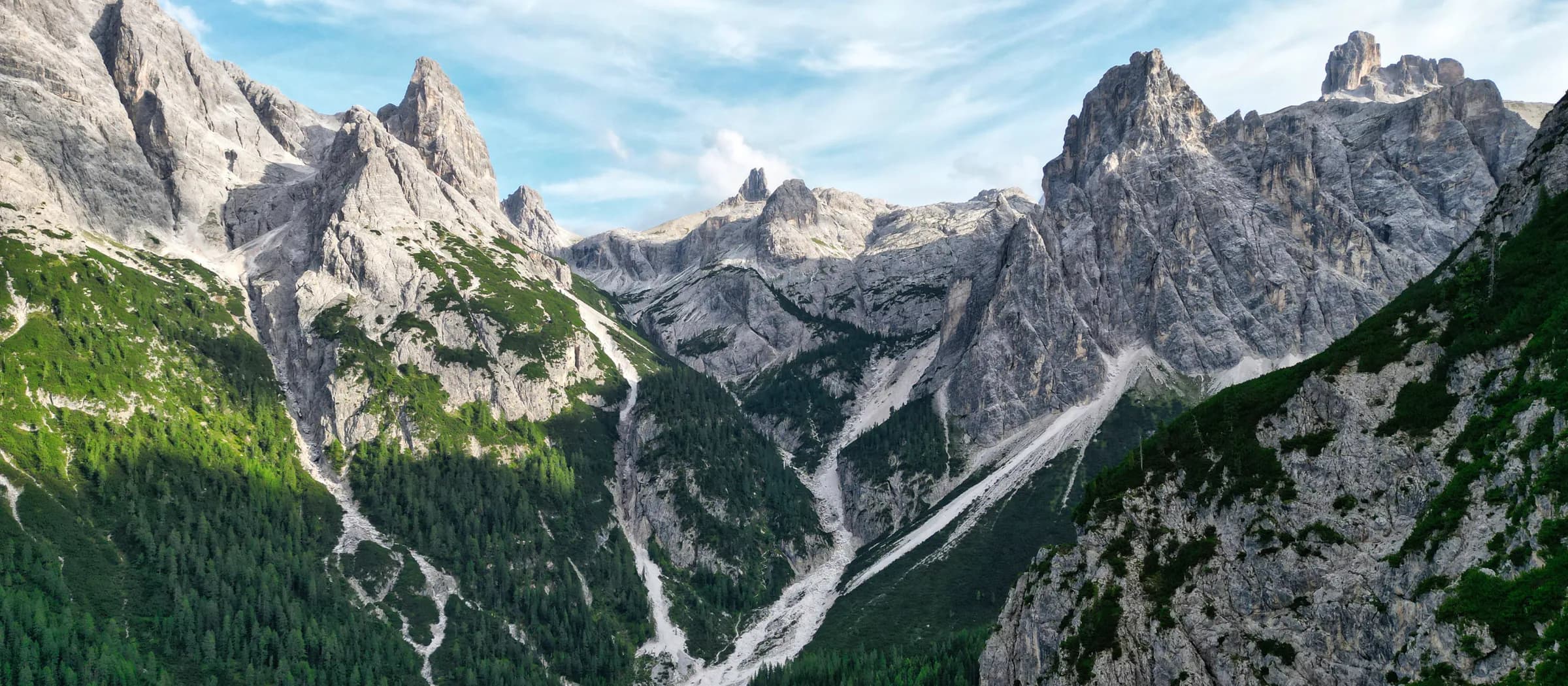 Panoramic mountain ridge and forested valley in soft evening light.