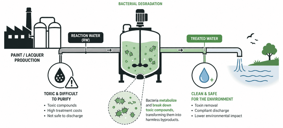Bachelor thesis concept — bacterial degradation of toxic paint and resin residues in industrial reaction water.